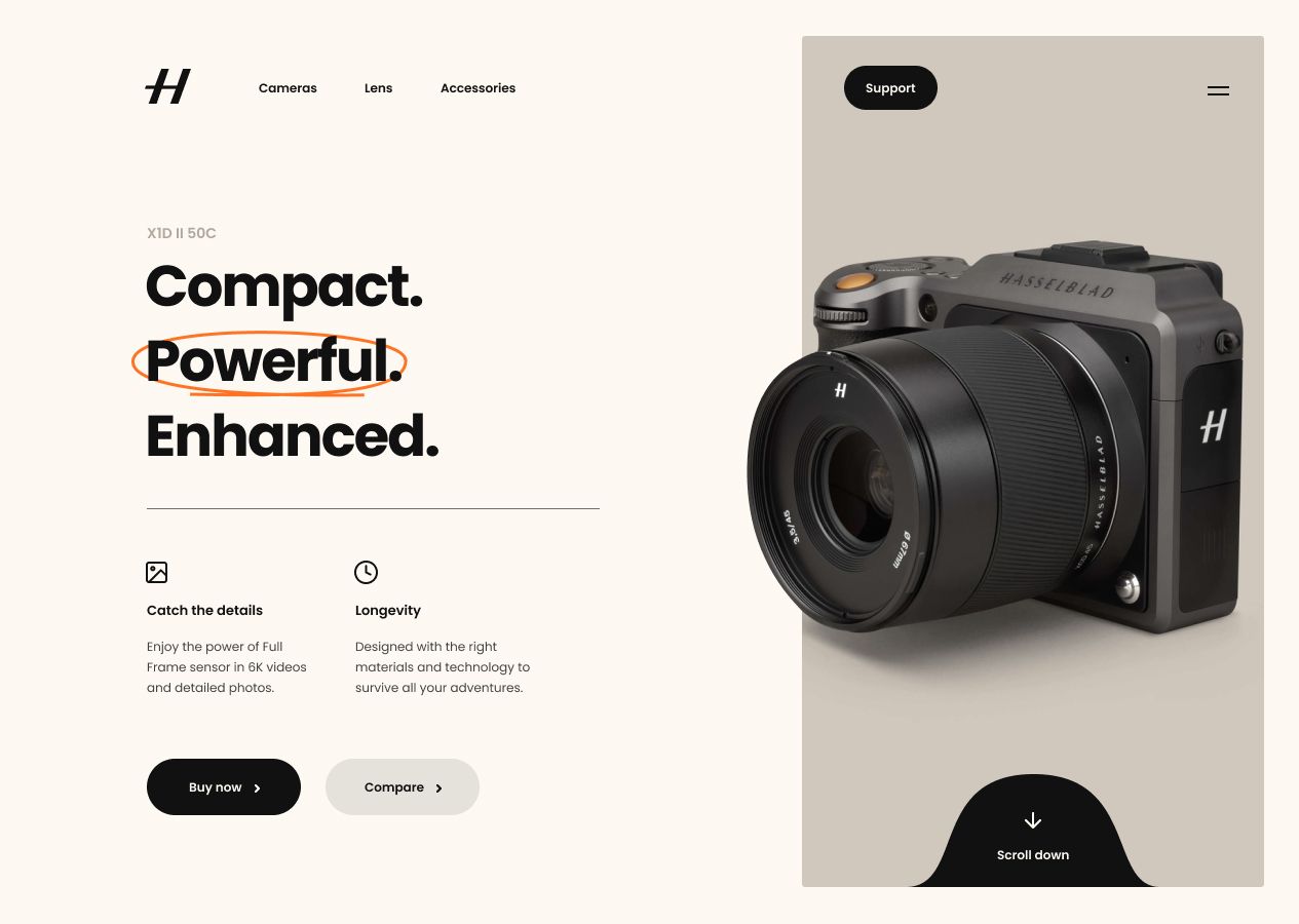 Hasselblad homepage proposal