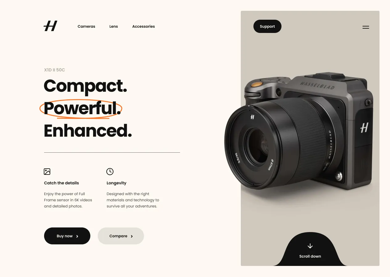 Hasselblad homepage proposal