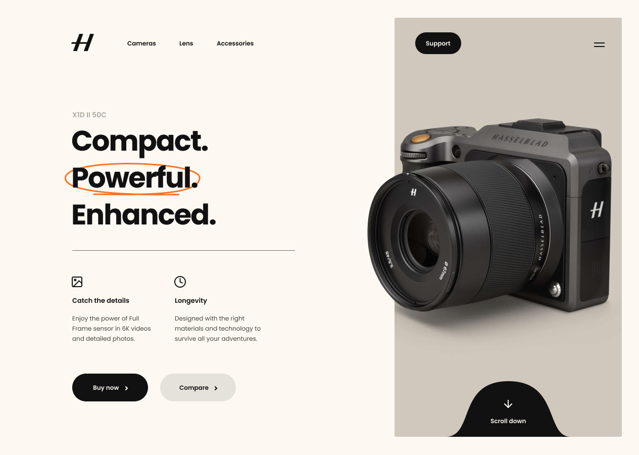 Hasselblad homepage proposal